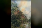 Kastamonu’da orman yangınında 40 dönümlük alan zarar gördü