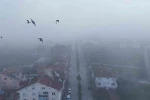 Kastamonu’da yoğun sis