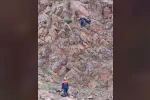 Kayalıklarda mahsur kalan 2 vatandaş ekiplerin müdahalesiyle kurtarıldı