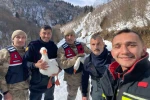 Kayıp kazlar üç gün sonra dere yatağında bulundu