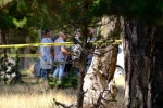 Kayıp olarak aranan kadın ormanlık alanda ölü bulundu