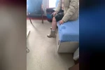 Kayseri’de sokak köpeğinin saldırısına uğrayan çocuk yaralandı