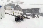 Keçilerin inadı yarım metreyi bulan kara yenilmedi