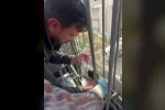 Kedi, dökülen betonun altında kalmaktan son anda kurtarıldı
