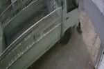 Kedi ezen sürücüye hayvan barınağında çalışma cezası