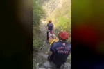 Kekik toplarken dere yatağına düşen çocuk yaralandı