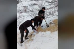 Kemah’ta yaban hayatı unutulmadı 