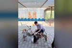 Kemer’de haziran ayında 189 sokak hayvanı kısırlaştırıldı