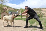 Kemiği kraker gibi yediler 