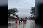Kenya’da sel felaketi: 10 ölü