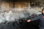 Keşan’da çıkan yangında bin saman balyası yandı