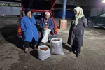 Kestane rekoltesi kuraklık sebebiyle düştü