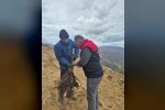 Kestane üretimi arttırılacak