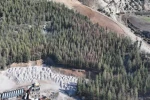 Kilis’te Akdeniz çam kabuk böceğine karşı biyoteknik mücadele