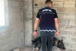 Kilis’te okul önlerinde trafik ve asayiş tedbirleri uygulandı