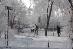 Kırağı sonrası görsel şölen oluştu 
