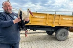 Kırklareli’de yaralı leyleğe şefkat eli 