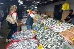 Kırklareli’nde balıkçılara denetim