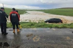 Kırşehir’de sağanak sele neden oldu