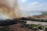 Kızılırmak Nehri çevresinde korkutan örtü yangını