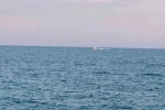 Kızkalesi’nde denizde kaybolan şahsın bulunması için arama çalışmaları sürüyor