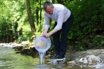 Kocaeli sularına 50 bin kırmızı benekli alabalık dopingi