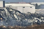 Kocaeli’de kimya fabrikasında yangın: 2 işçi yaralandı, 2 at telef oldu