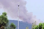 Kocaeli’de ormanlık alanda yangın çıktı