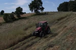 Kocaeli’de süt otu çiftçiye can suyu oldu