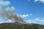 Kocaeli’deki orman yangını havadan ve karadan müdahaleyle söndürüldü