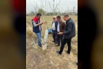 Koçarlı’da üreticilere "Cevizde Aşılama" eğitimi verilecek