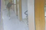 Kocası o anlara şahit olmuş: Bir çocuk annesini hayattan koparan asansör kazası kamerada