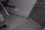 Komşularını canından bezdirdi