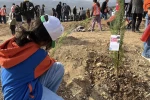 Konya'da 33 bin 811 fidan toprakla buluştu