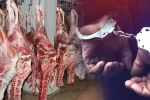 Konya’da bozuk et operasyonu! 5’i kamu görevlisi, 33 gözaltı kararı