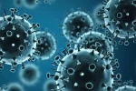 Konya’da Influenza şüphesi
