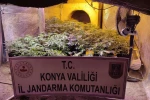 Konya'da uyuşturucu tacirlerine yapılan operasyonda 14 kişi tutuklandı