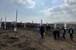 Konya’da 33 bin 811 fidan toprakla buluştu
