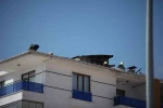 Konya’da 5 katlı apartmanda yangın paniği 