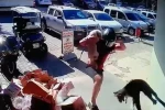 Köpeğiyle kavga eden kediyi tekmeyle metrelerce havaya fırlattı