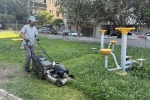 Körfez’de park ve bahçelere bakım işlemi