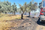 Korkutan arazi yangını 1 saatte kontrol altına alındı