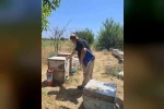 Köşk’te arılı kovan tespit çalışmaları sürüyor 
