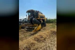 Köşk’te hububat hasadında dane kaybına karşı sıkı denetim