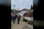 Köşk’te köklü kestane fidanları üreticilere dağıtıldı