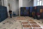 Köşk’te kuru incir depolarına sıkı denetim