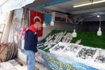 Köşk’te su ürünleri işletmeleri mercek altında
