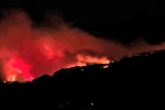 Köyceğiz’de orman yangını müdahale devam ediyor