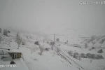 Köye inen kurt sürüsü kameraya yansıdı