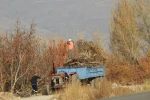 Köylerde kışlık odun hazırlığı